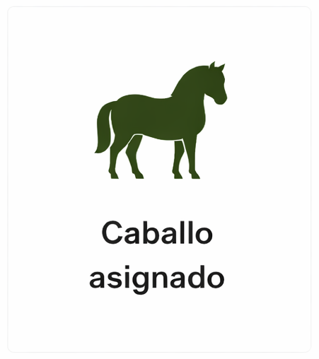 tmsauraweb1caballo
